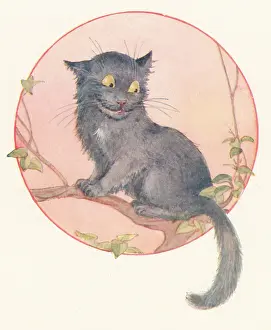 Startled: The Cheshire Cat sitting on a tree branch
