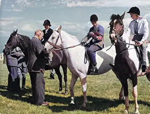 Heswall: CHESHIRE HORSE SHOW