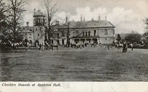 Warrington: Cheshire Hounds at Appleton Hall, Warrington