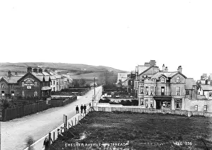 Whitehead: Chester Avenue, Whitehead