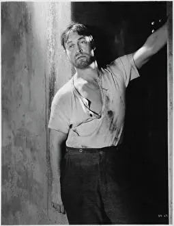 Goldwyn Mayer: Chester Morris - Man - Actor - Celebrity