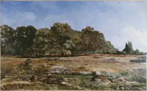 Celle: Chestnut avenue in La Celle-Saint-Cloud, by Alfred Sisley