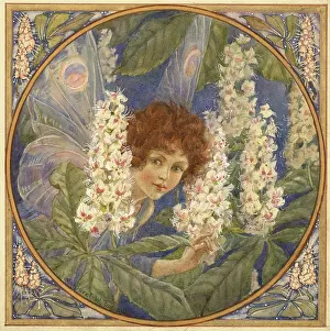 Chestnuts: Chestnut flowers with fairy behind