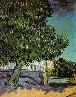 Blossoms: Chestnut Tree in Blossom, by Van Gogh