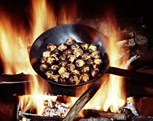 Snacks: Chestnuts Roasting in Iron Skillet on An Open