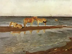 Alexandrovitch: Chevaux au Bord de la Mer