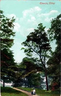 Otley: Chevin Forest Park, Otley, Yorkshire
