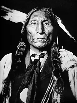 Wrinkled: Cheyenne