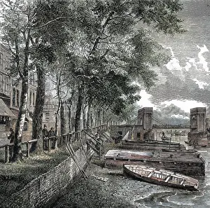 Cheyne: CHEYNE WALK