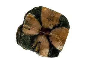 Nesosilicate: Chiastolite