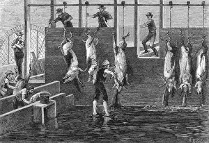 Pork: CHICAGO BUTCHERY