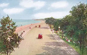 Chicagos: CHICAGO LAKE SHORE DR. 2