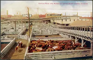 Stockyard: CHICAGO STOCKYARD