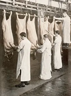 Carcases: CHICAGO STOCKYARDS 1
