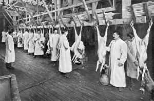 Strokes: CHICAGO STOCKYARDS 10