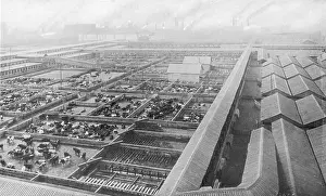 Stockyards: CHICAGO STOCKYARDS 4
