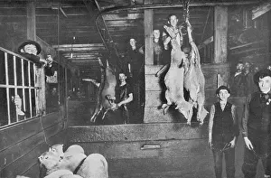 Butchers: CHICAGO STOCKYARDS 8