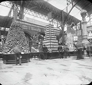 Chicago World's Fair - NSW Exhibit