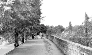C1955: Chichester, the City Walls c1955