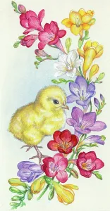 Freesias: Chick with coloured freesias