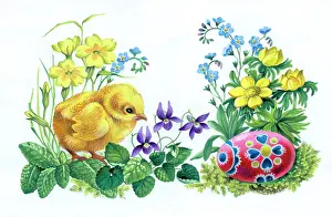 Nots: Chick with Easter Egg among primroses etc