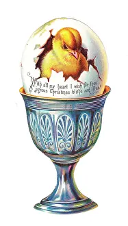 Eggcup: Chick in an eggcup on a cutout Christmas card