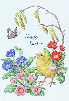 Hazel: Chick with Hazel Catkins, Primulas and Butterfly