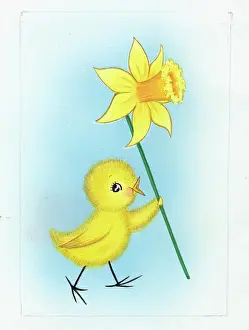 Adair: Chick holding daffodil