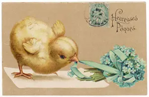 Tugs: Chick and Posy
