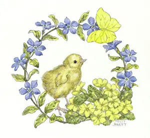 Periwinkle: Chick with primroses, periwinkle and butterfly