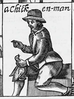 Pluck: A CHICKEN-MAN/1647