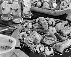 Frt001: Chicken And Shrimp On Grill Retro