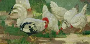 Hanna: Chickens
