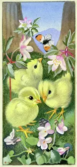 Anemones: Three chicks with anemones and butterfly