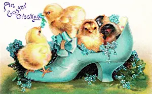 Forgetmenots: Chicks in a blue shoe on an Easter postcard