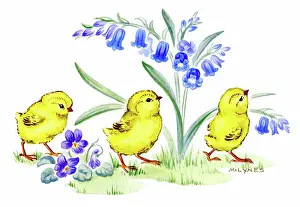 Three chicks with bluebells and violets