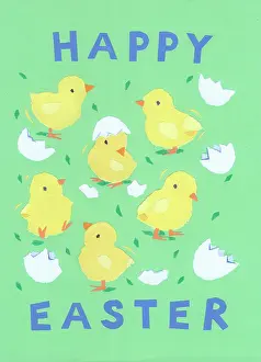 Hatched: Chicks with broken shells - Happy Easter