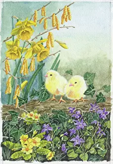 Gilda: Two chicks with daffodils, catkins, primroses etc