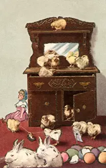 Dresser: Chicks in Dresser