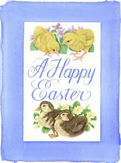 Primroses: Chicks and ducklings with Happy Easter