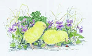 Barnett: Two chicks with a ladybird and violets
