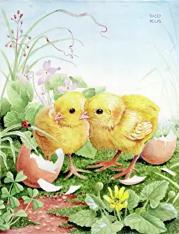Incest: Two Chicks looking at a Ladybird