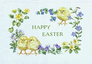Periwinkle: Three chicks, periwinkle, primroses, violets etc