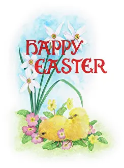 Narcissi: Two Chicks with primulas and narcissi