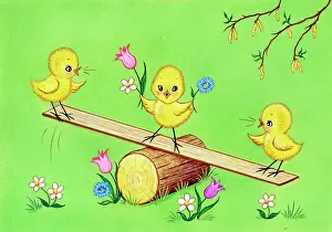 Seesaw: Three chicks on a see-saw