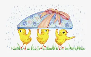 Sheltering: Chicks sheltering from rain under Easter Egg