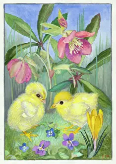 Crocus: Two chicks with spring flowers