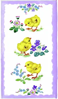 Lynes: Three chicks and spring flowers