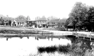 Chiddingfold: Chiddingfold, Village and Pond 1902