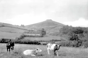 Chideock: Chideock, 1922